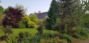 Vue du corps de ferme normand depuis le jardin, érable pourpre et grand pin