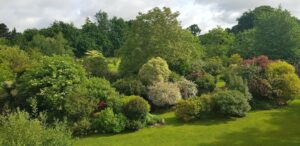Panorama des massifs d'arbustes de collection au mois de mai, jardin de 1,8 hectare