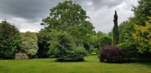 La grande pelouse du jardin sous un ciel d'orage, cyprès et érable pourpre