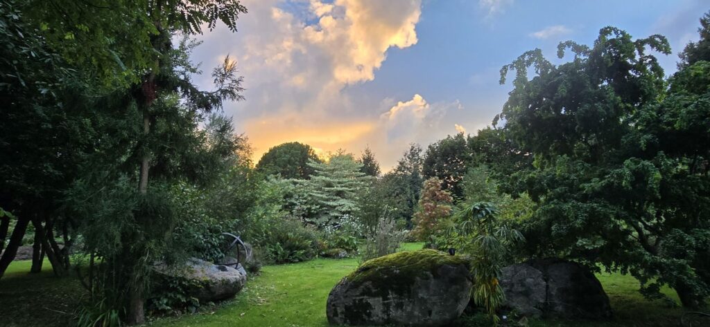 Panorama du jardin botanique de La Filuzière au coucher du soleil, rochers de granit moussus et massifs d'arbustes de collection