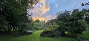 Allée engazonnée du jardin botanique au crépuscule, blocs de granit et arbres de collection