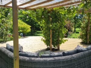 Pergola couverte de vigne et salon de jardin au cœur du jardin botanique