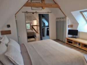 Chambre parentale en mezzanine sous charpente, avec téléviseur et fenêtre de toit