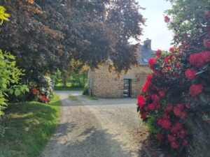 Allée bordée de rhododendrons en fleurs menant à l'entrée du gîte en pierre