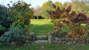 Massif d'automne et muret de pierre sèche avec marches, jardin de La Filuzière