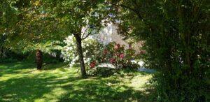 Le gîte en pierre aperçu depuis le jardin, fougère arborescente et camélia rouge