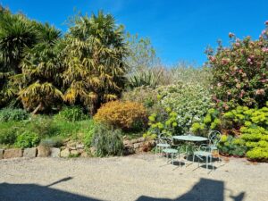 Salon de jardin devant le gîte, entouré de palmiers, cordylines et arbustes en fleurs