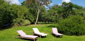 Transats et hamac installés sur la pelouse du jardin botanique de La Filuzière